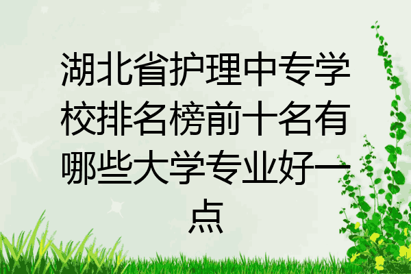 湖北省护理中专学校排名榜前十名有哪些大学专业好一点