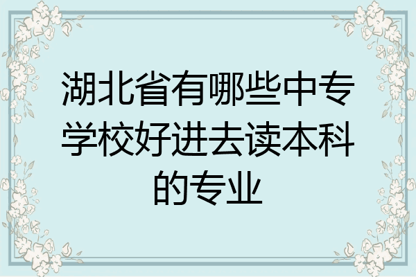 湖北省有哪些中专学校好进去读本科的专业