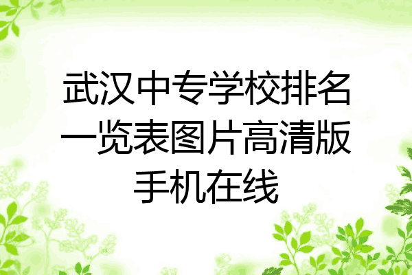武汉中专学校排名一览表图片高清版手机在线