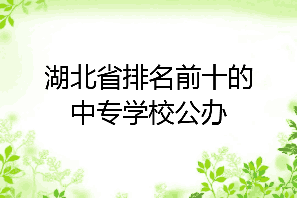 湖北省排名前十的中专学校公办