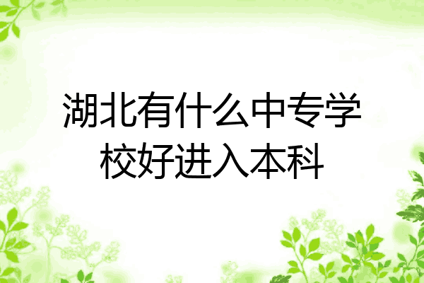 湖北有什么中专学校好进入本科
