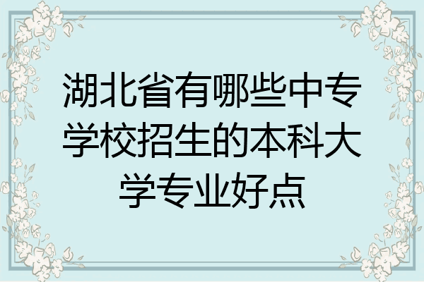 湖北省有哪些中专学校招生的本科大学专业好点