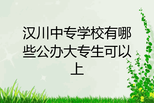 汉川中专学校有哪些公办大专生可以上