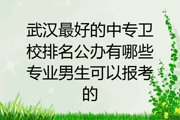 武汉最好的中专卫校排名公办有哪些专业男生可以报考的