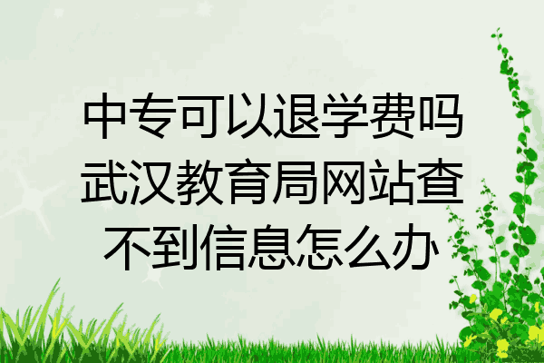 中专可以退学费吗武汉教育局网站查不到信息怎么办