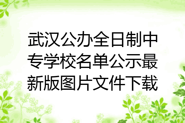 武汉公办全日制中专学校名单公示最新版图片文件下载