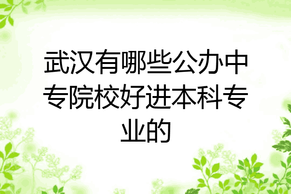 武汉有哪些公办中专院校好进本科专业的