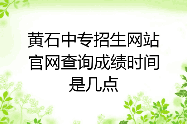 黄石中专招生网站官网查询成绩时间是几点