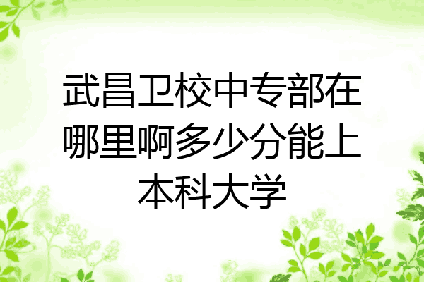 武昌卫校中专部在哪里啊多少分能上本科大学