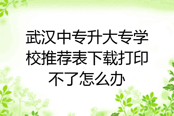武汉中专升大专学校推荐表下载打印不了怎么办
