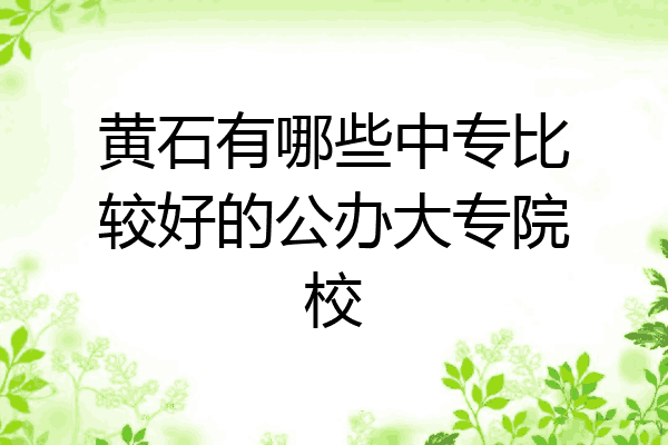 黄石有哪些中专比较好的公办大专院校