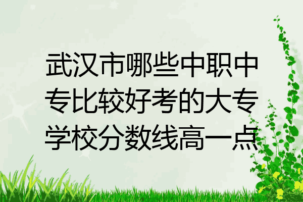 武汉市哪些中职中专比较好考的大专学校分数线高一点