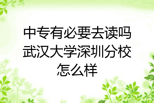 中专有必要去读吗武汉大学深圳分校怎么样