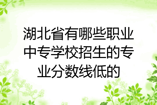 湖北省有哪些职业中专学校招生的专业分数线低的