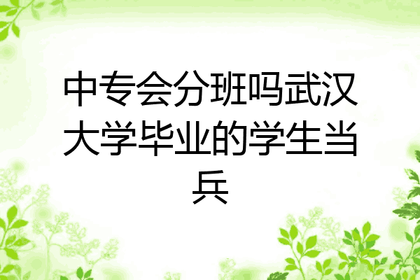 中专会分班吗武汉大学毕业的学生当兵