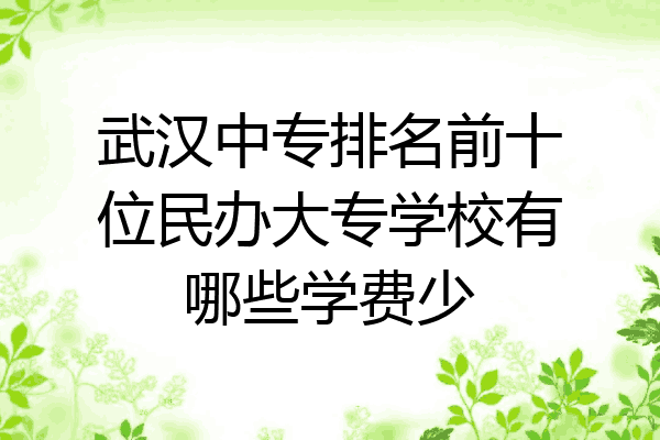 武汉中专排名前十位民办大专学校有哪些学费少