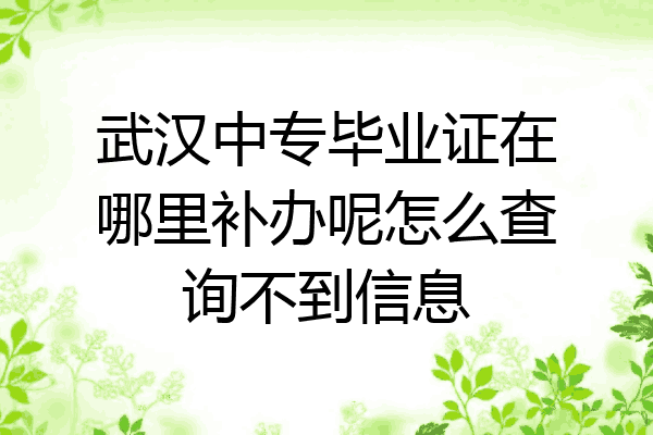 武汉中专毕业证在哪里补办呢怎么查询不到信息