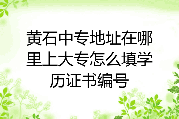 黄石中专地址在哪里上大专怎么填学历证书编号