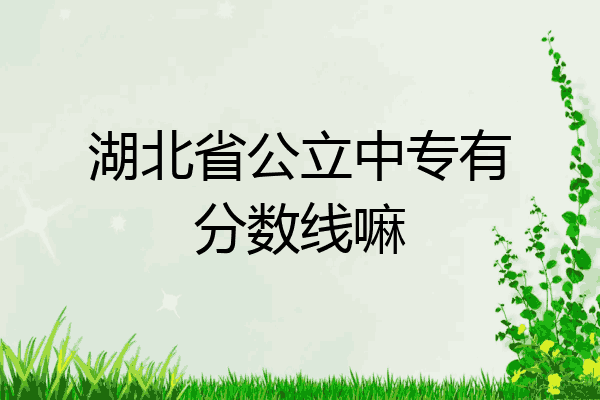 湖北省公立中专有分数线嘛
