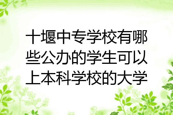 十堰中专学校有哪些公办的学生可以上本科学校的大学