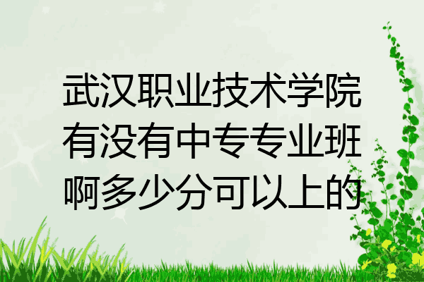武汉职业技术学院有没有中专专业班啊多少分可以上的