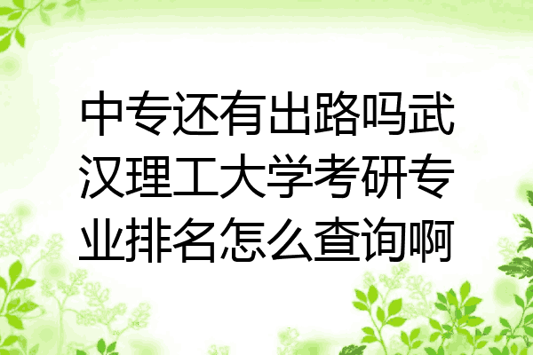 中专还有出路吗武汉理工大学考研专业排名怎么查询啊