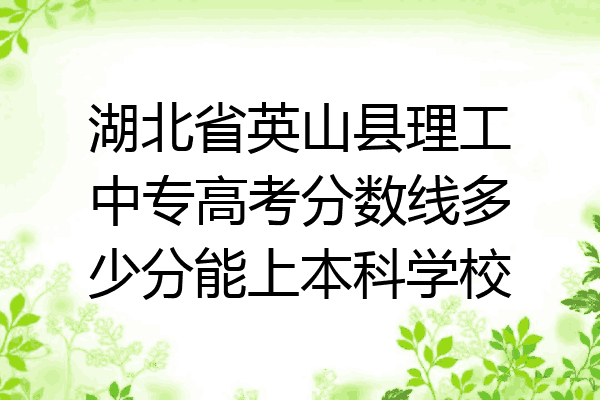 湖北省英山县理工中专高考分数线多少分能上本科学校