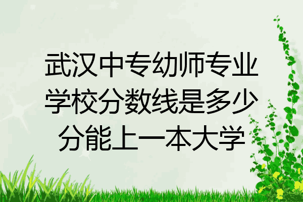 武汉中专幼师专业学校分数线是多少分能上一本大学