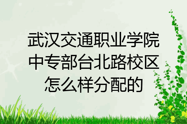 武汉交通职业学院中专部台北路校区怎么样分配的