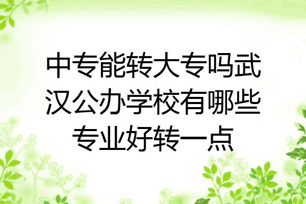中专能转大专吗武汉公办学校有哪些专业好转一点