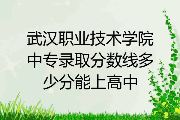 武汉职业技术学院中专录取分数线多少分能上高中