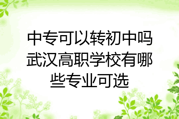 中专可以转初中吗武汉高职学校有哪些专业可选
