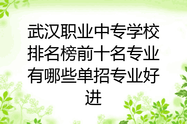 武汉职业中专学校排名榜前十名专业有哪些单招专业好进