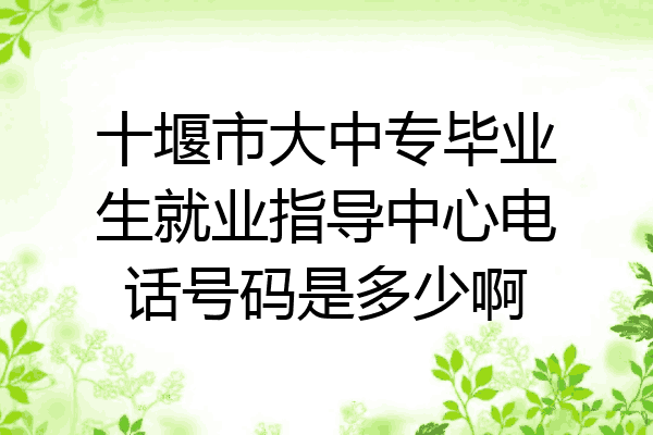 十堰市大中专毕业生就业指导中心电话号码是多少啊