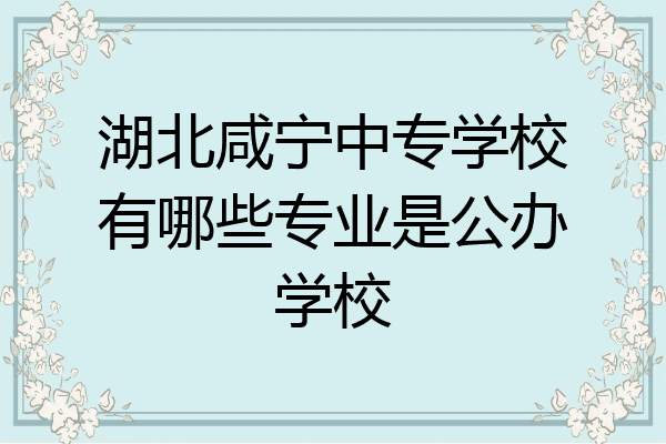 湖北咸宁中专学校有哪些专业是公办学校