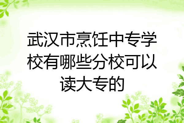 武汉市烹饪中专学校有哪些分校可以读大专的