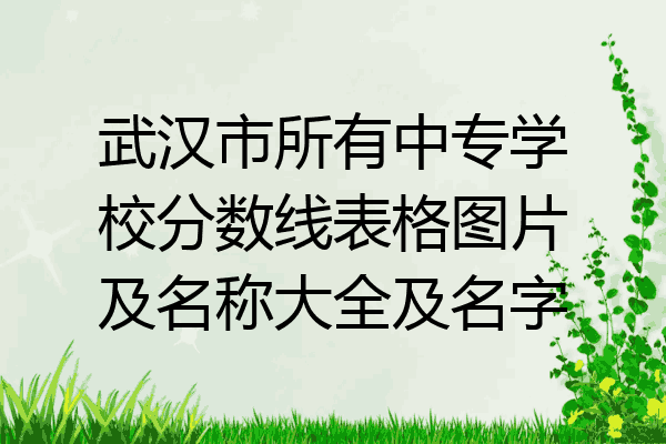 武汉市所有中专学校分数线表格图片及名称大全及名字
