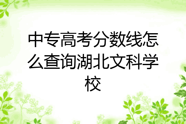 中专高考分数线怎么查询湖北文科学校