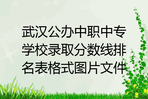 武汉公办中职中专学校录取分数线排名表格式图片文件