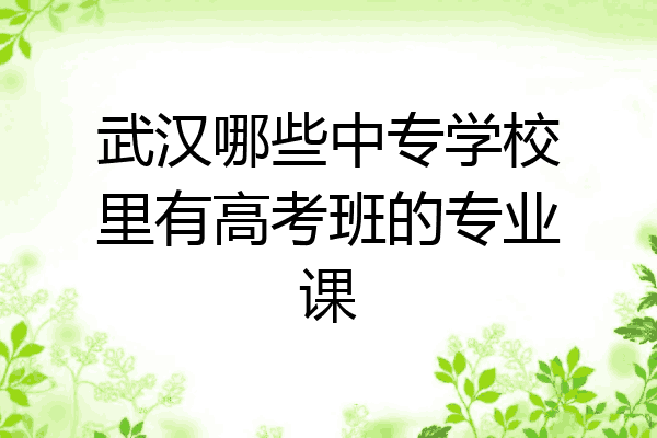 武汉哪些中专学校里有高考班的专业课