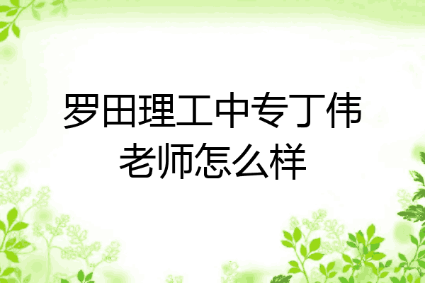 罗田理工中专丁伟老师怎么样