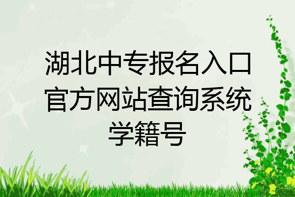 湖北中专报名入口官方网站查询系统学籍号
