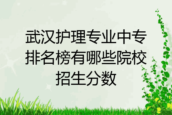 武汉护理专业中专排名榜有哪些院校招生分数
