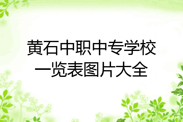 黄石中职中专学校一览表图片大全