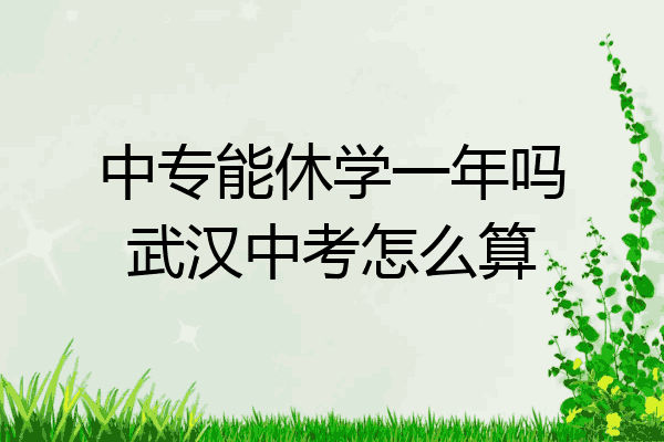 中专能休学一年吗武汉中考怎么算