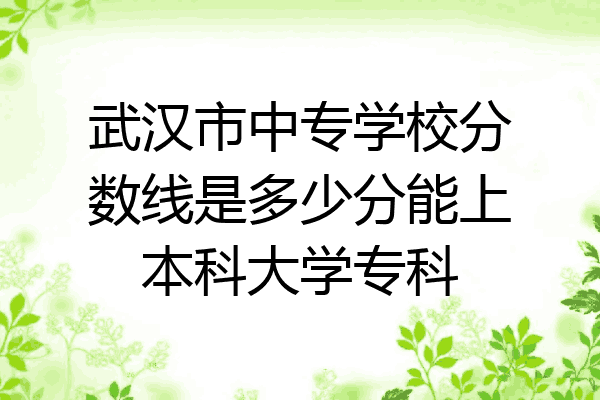 武汉市中专学校分数线是多少分能上本科大学专科