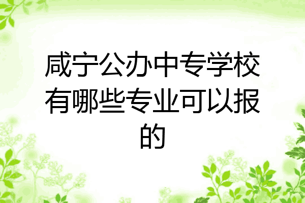 咸宁公办中专学校有哪些专业可以报的