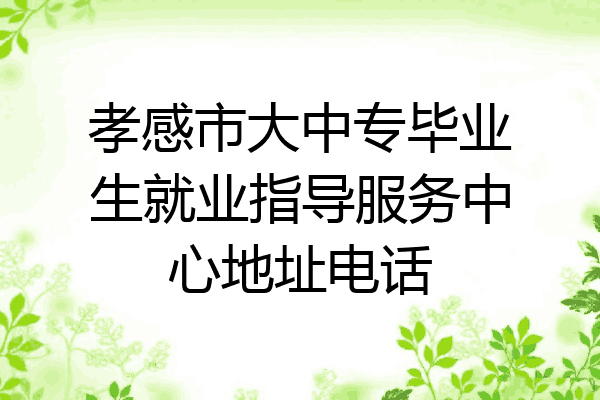 孝感市大中专毕业生就业指导服务中心地址电话
