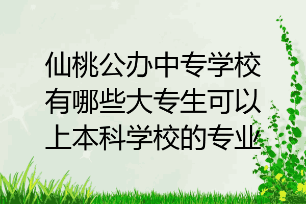 仙桃公办中专学校有哪些大专生可以上本科学校的专业