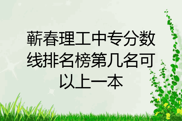 蕲春理工中专分数线排名榜第几名可以上一本